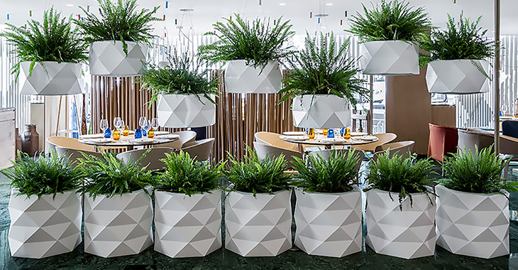 Outdoor Patio Planters
