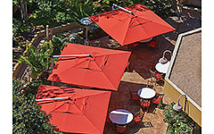 Square Patio Umbrellas
